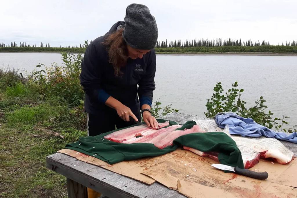 ‘The Land is Changing’: UVic team wins global award for Arctic climate research